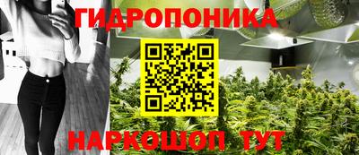 ешки Комсомольск-на-Амуре