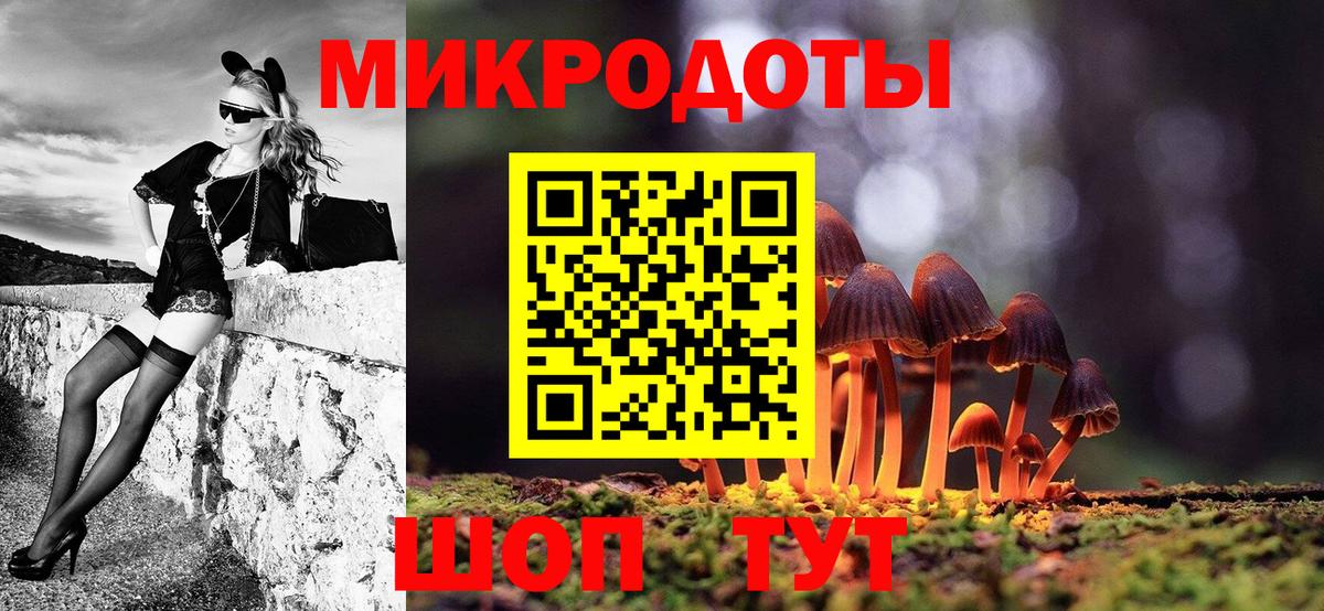 Галлюциногенные грибы Psilocybine cubensis Заводоуковск